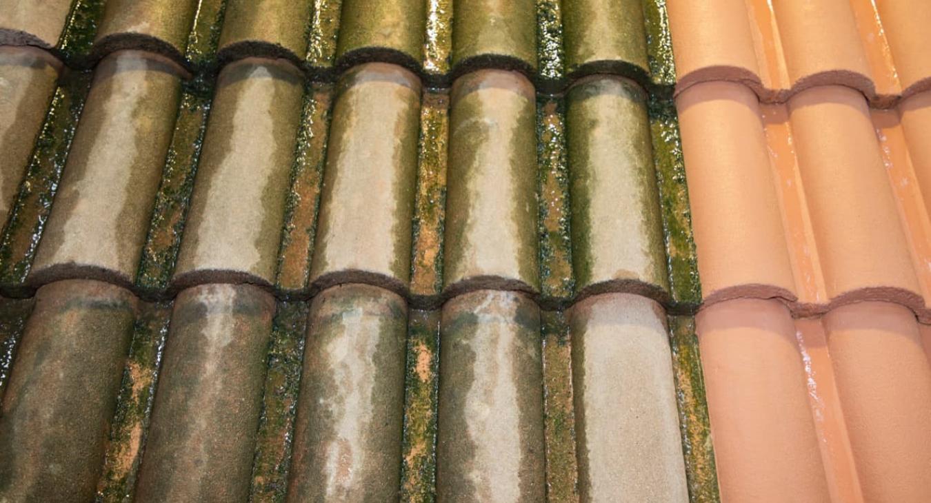 Vilette Couvreur Démoussage 27 28