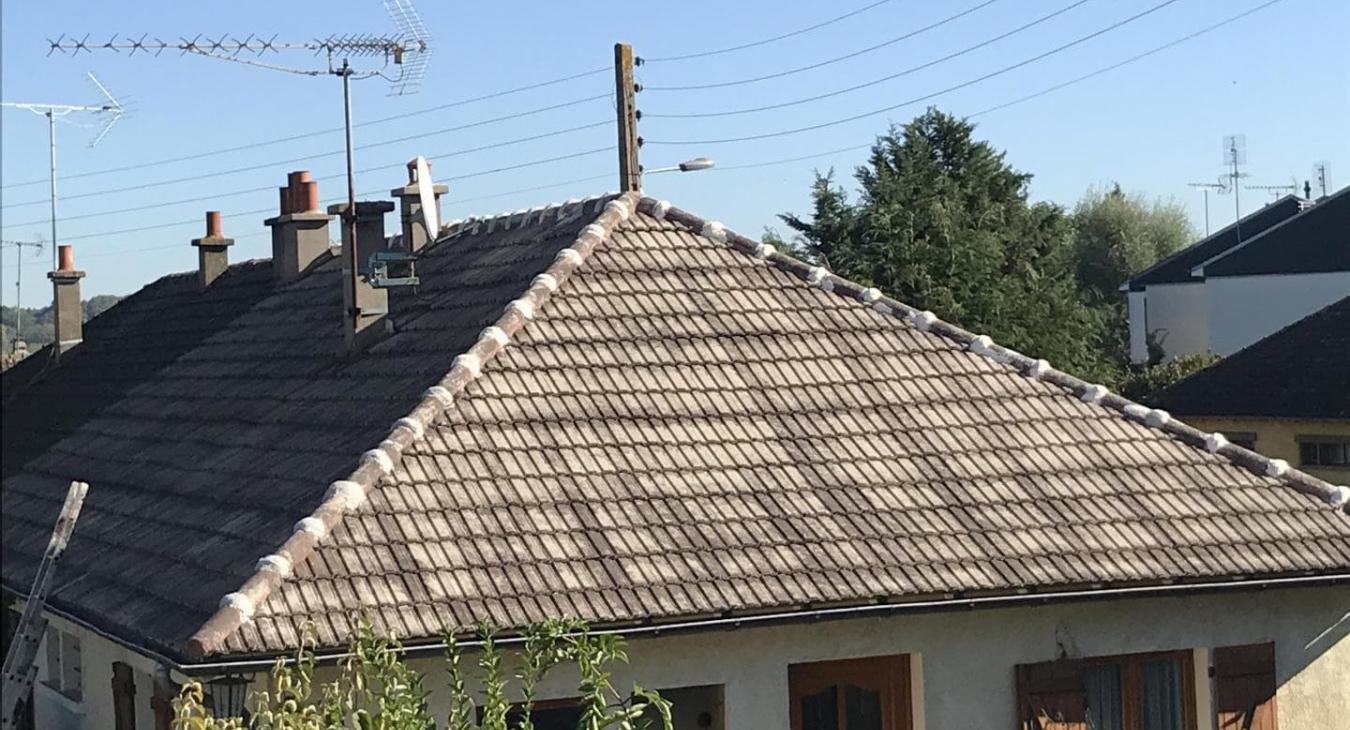 Nettoyage et peinture de toiture