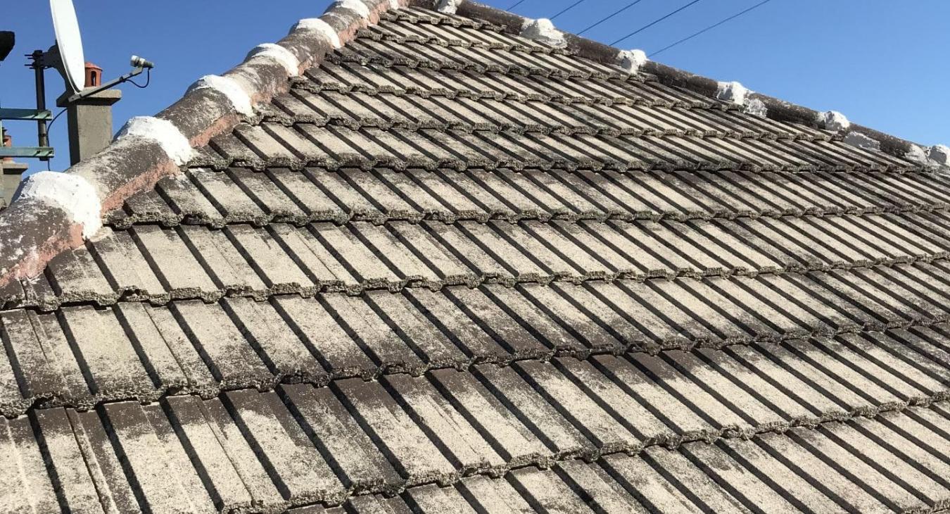 Nettoyage et peinture de toiture
