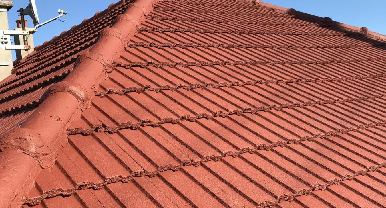 Nettoyage et peinture de toiture