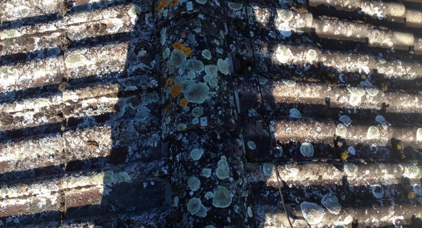 Nettoyage et peinture de toiture